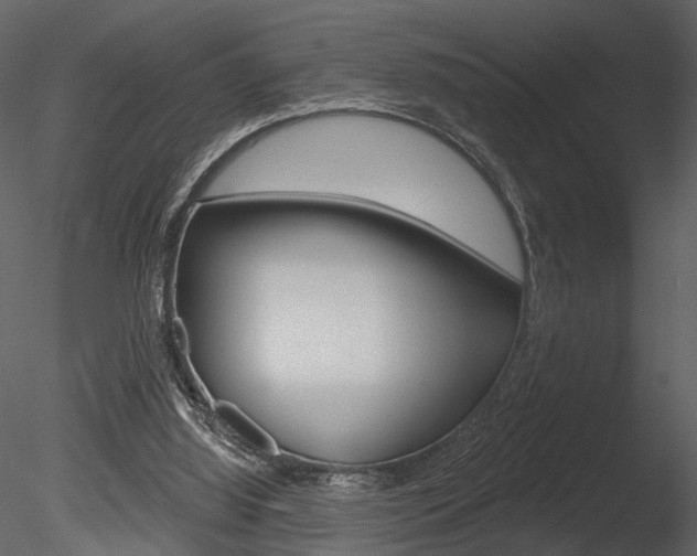 X0000085770060200703160943