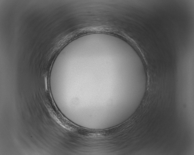X0000085770061200703160943