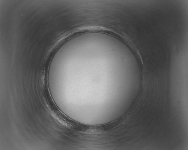 X0000085770063200703160943