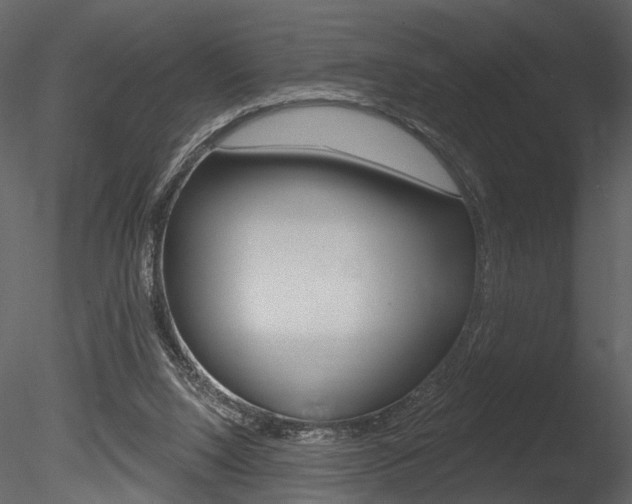 X0000085770064200703160944