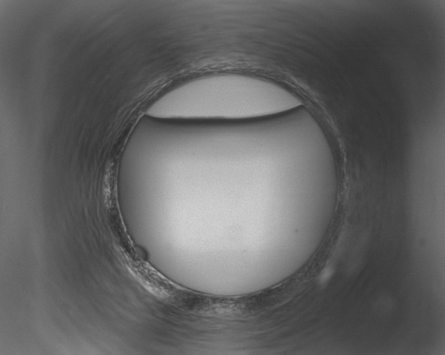 X0000085770065200703160944