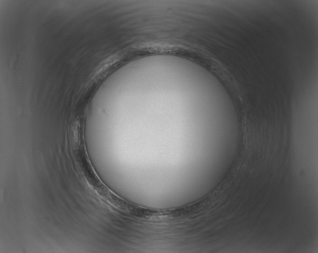 X0000085770071200703160944