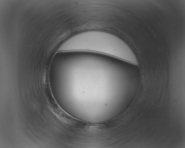 X0000085770072200703160944