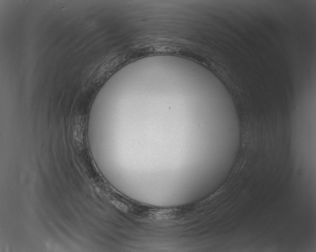 X0000085770078200703160944
