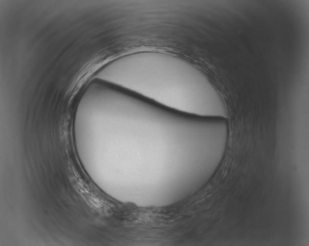 X0000085770098200703160943