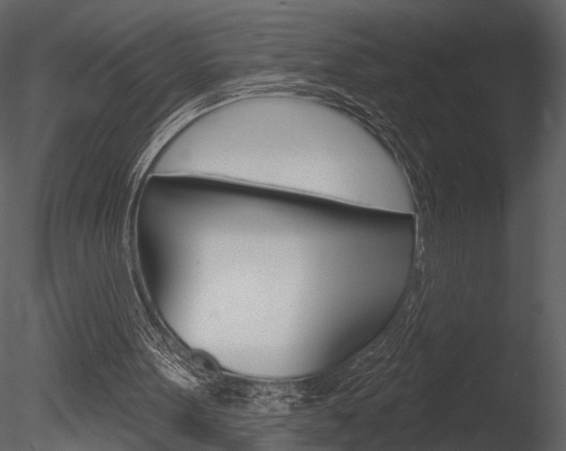 X0000085770099200703160943