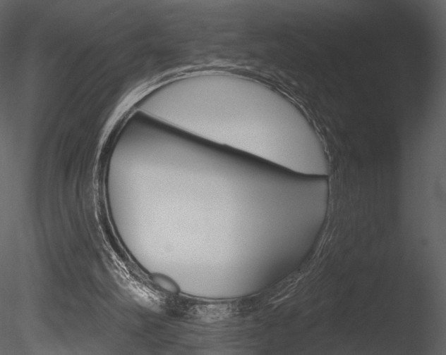 X0000085770102200703160943