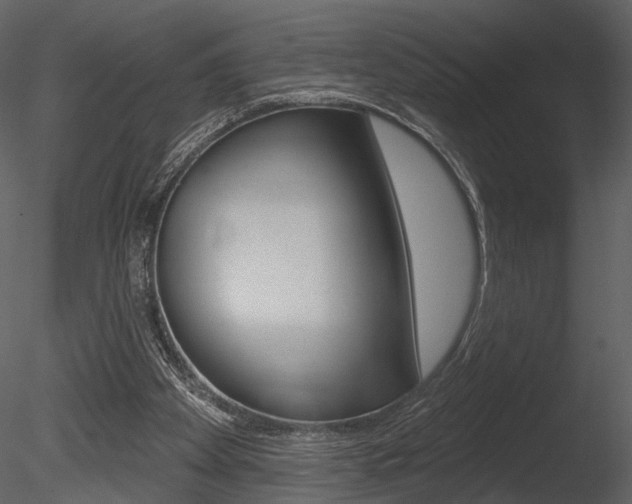 X0000085770105200703160943