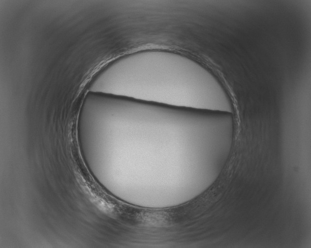 X0000085770106200703160943