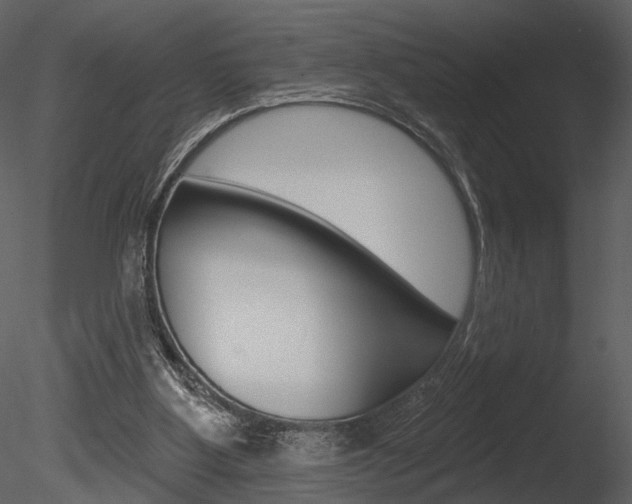 X0000085770107200703160943