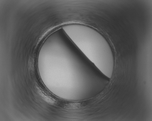 X0000085770108200703160943