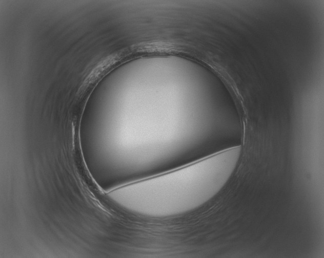 X0000085770109200703160943