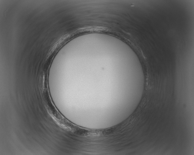 X0000085770110200703160943