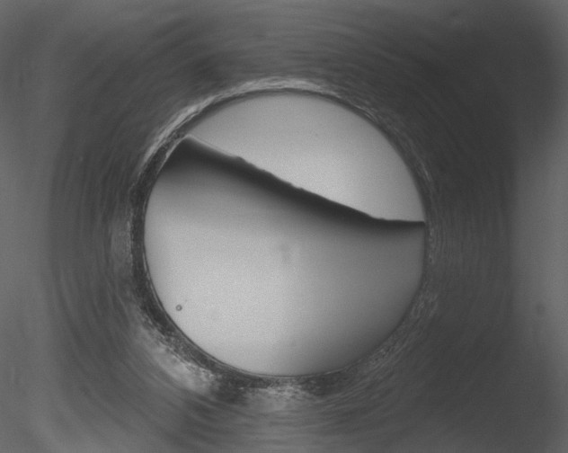 X0000085770112200703160943