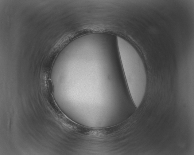 X0000085770117200703160943