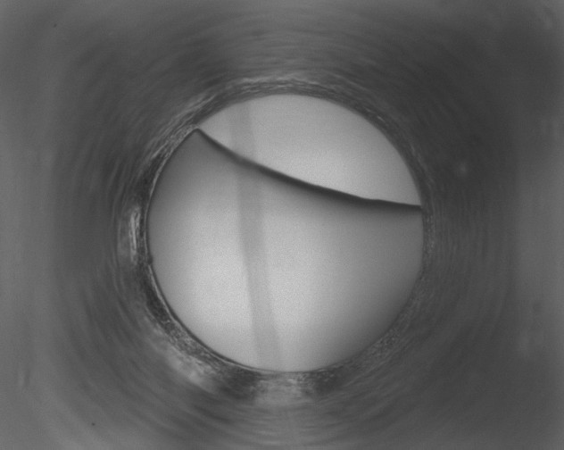 X0000085770118200703160943