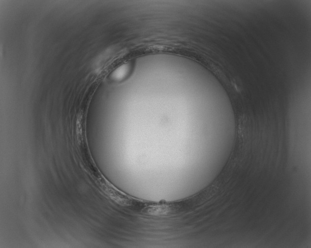 X0000085770127200703160943