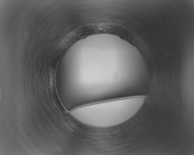 X0000085770129200703160943