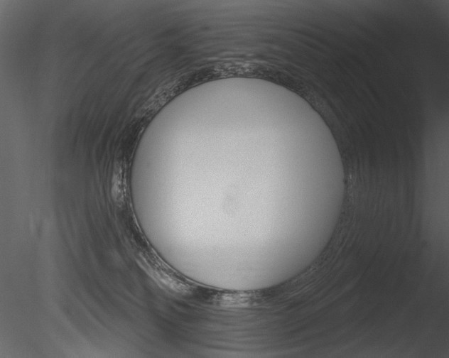 X0000085770134200703160943