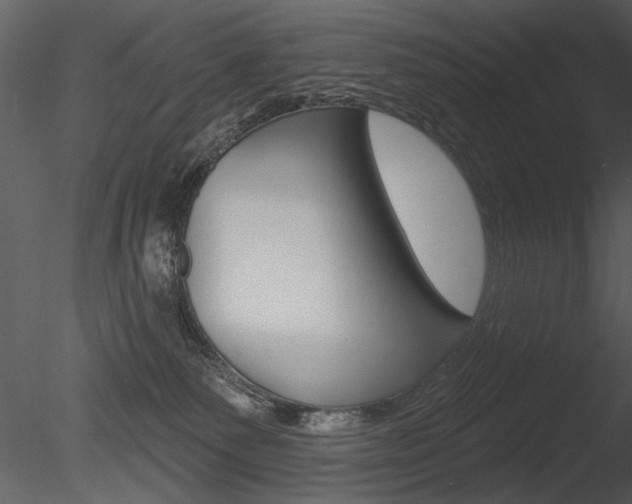 X0000085770135200703160943