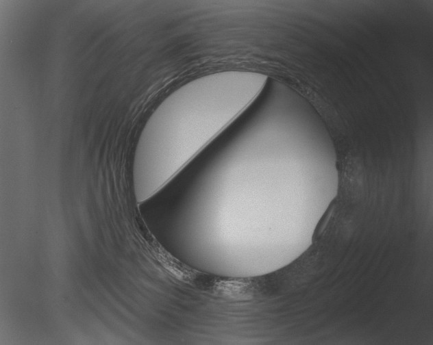 X0000085770139200703160943