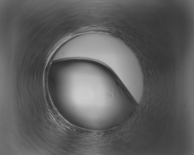 X0000085770148200703160942