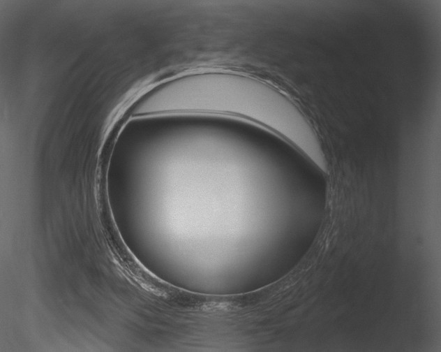 X0000085770152200703160942