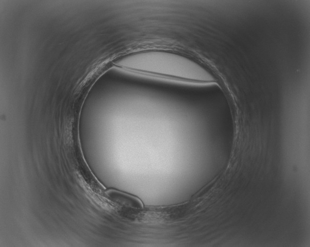 X0000085770154200703160942