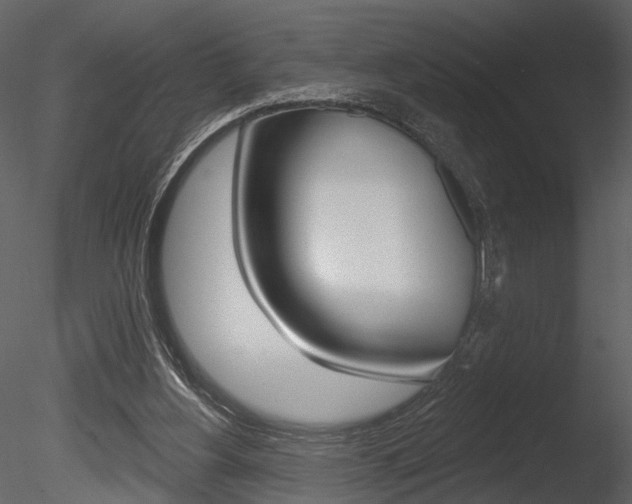X0000085770156200703160942