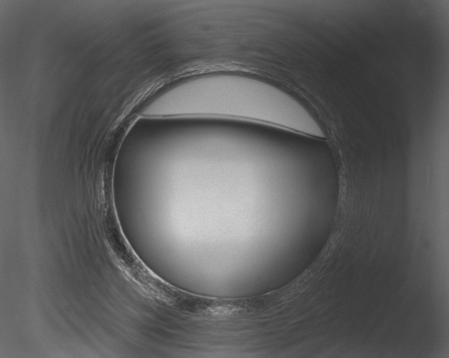 X0000085770158200703160942