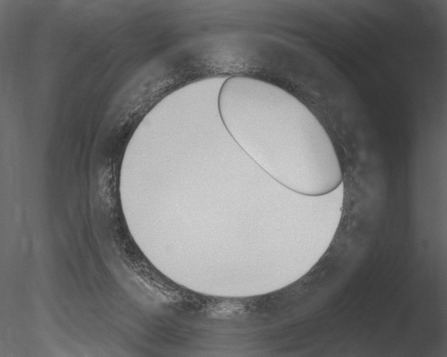 X0000085770162200703160942