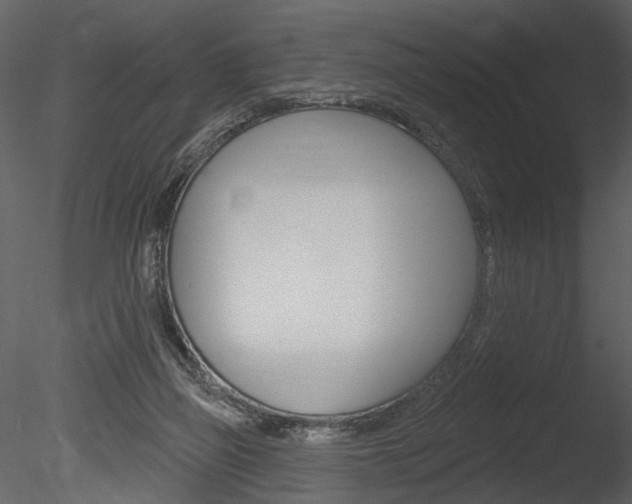 X0000085770165200703160942