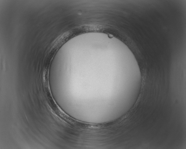 X0000085770166200703160942