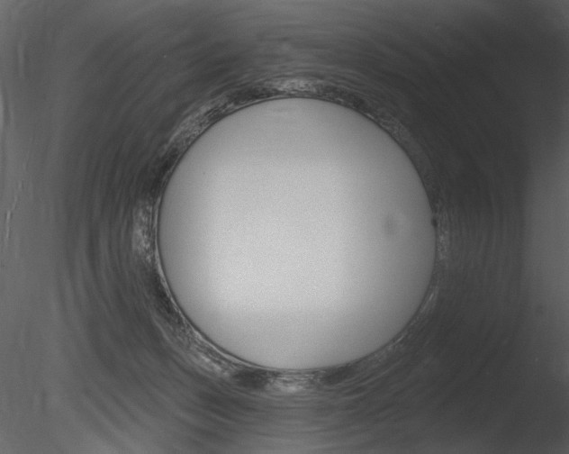 X0000085770175200703160942