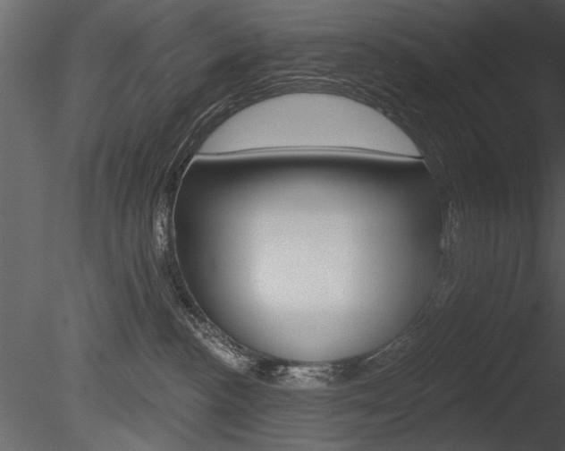 X0000085770188200703160942