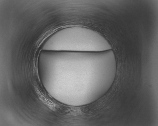 X0000085770194200703160942
