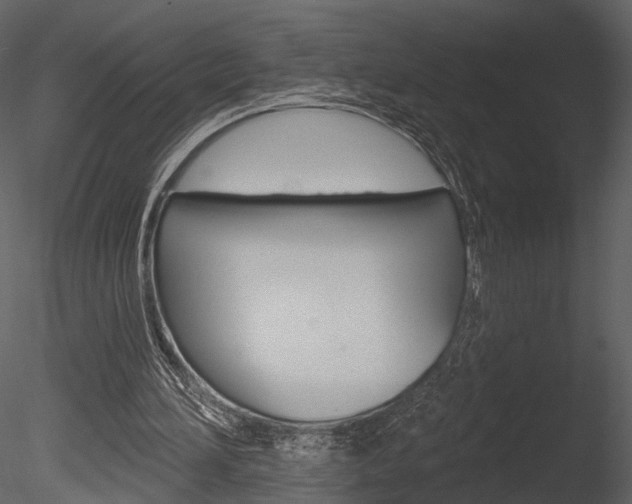 X0000085770196200703160942