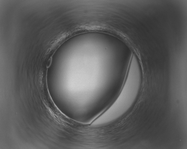 X0000085770201200703160941