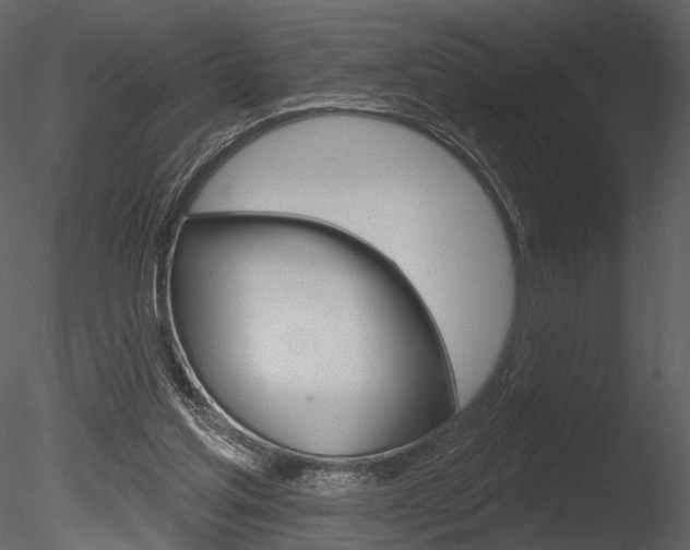 X0000085770205200703160941