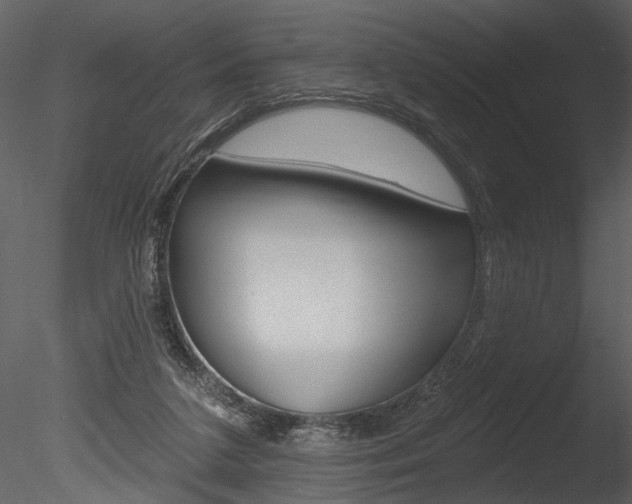 X0000085770211200703160941