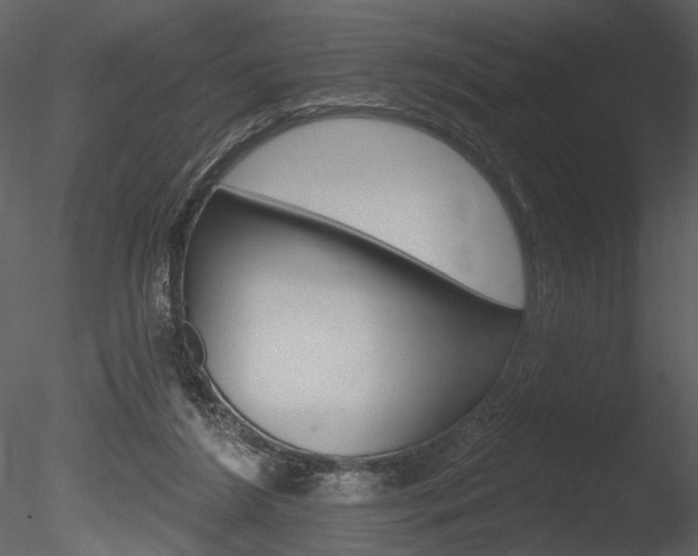 X0000085770212200703160941