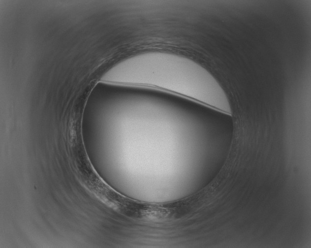X0000085770215200703160941