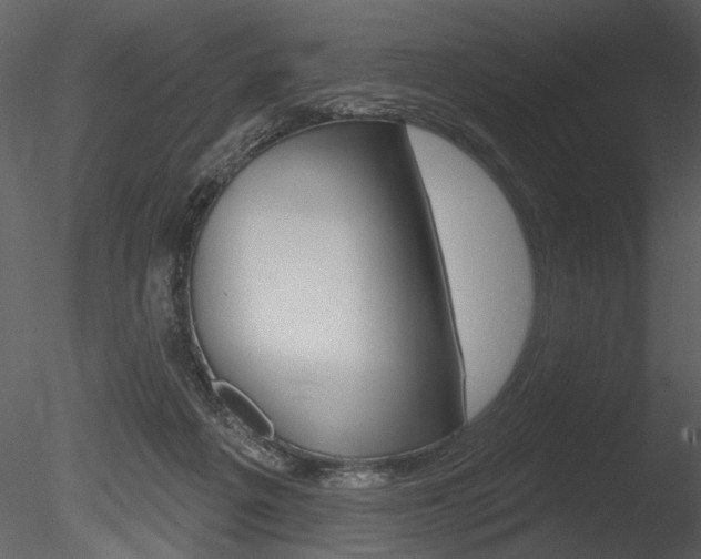 X0000085770217200703160941