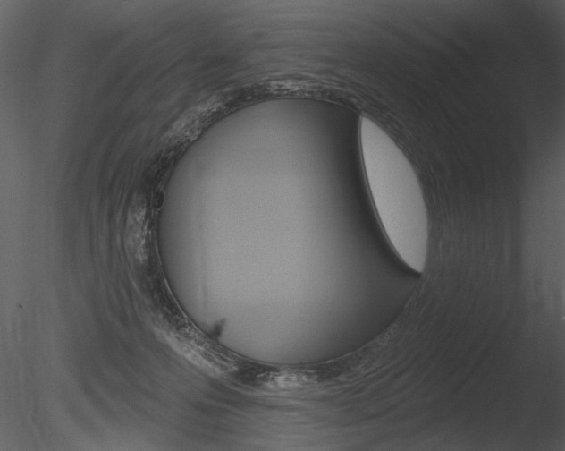 X0000085770223200703160941