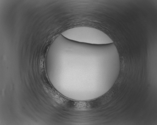 X0000085770230200703160941