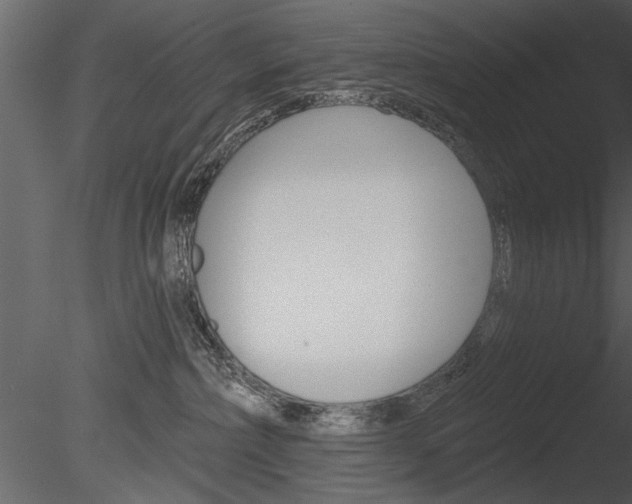 X0000085770236200703160941