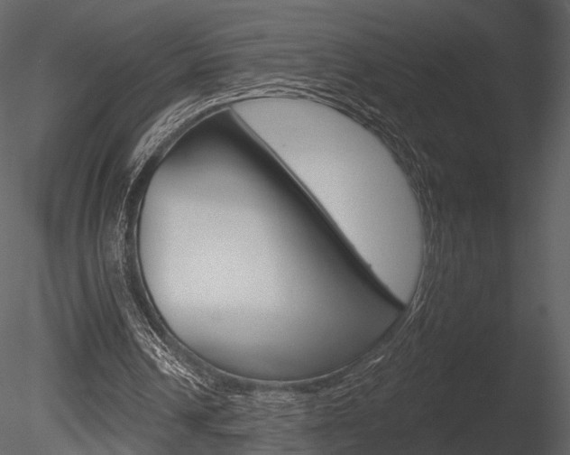 X0000085770242200703160940