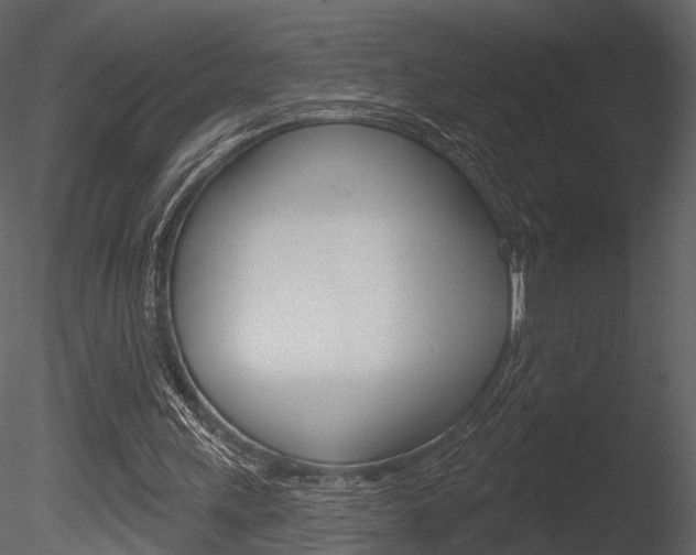 X0000085770243200703160940