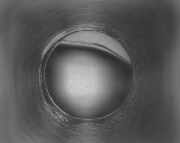 X0000085770244200703160940