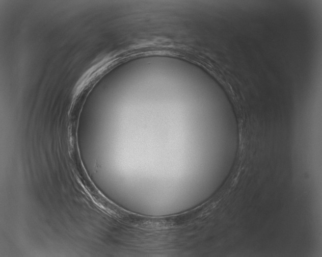 X0000085770245200703160940